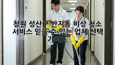 창원 성산구 반지동 비상 청소 서비스: 믿을 수 있는 업체 선택 가이드