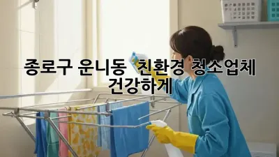 종로구 운니동 🏡✨ 친환경 청소업체, 건강하게!