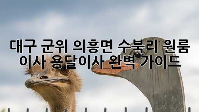 대구 군위 의흥면 수북리 원룸 이사, 용달이사 완벽 가이드!
