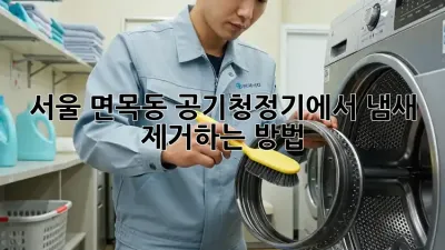 서울 면목동 공기청정기에서 냄새 제거하는 방법